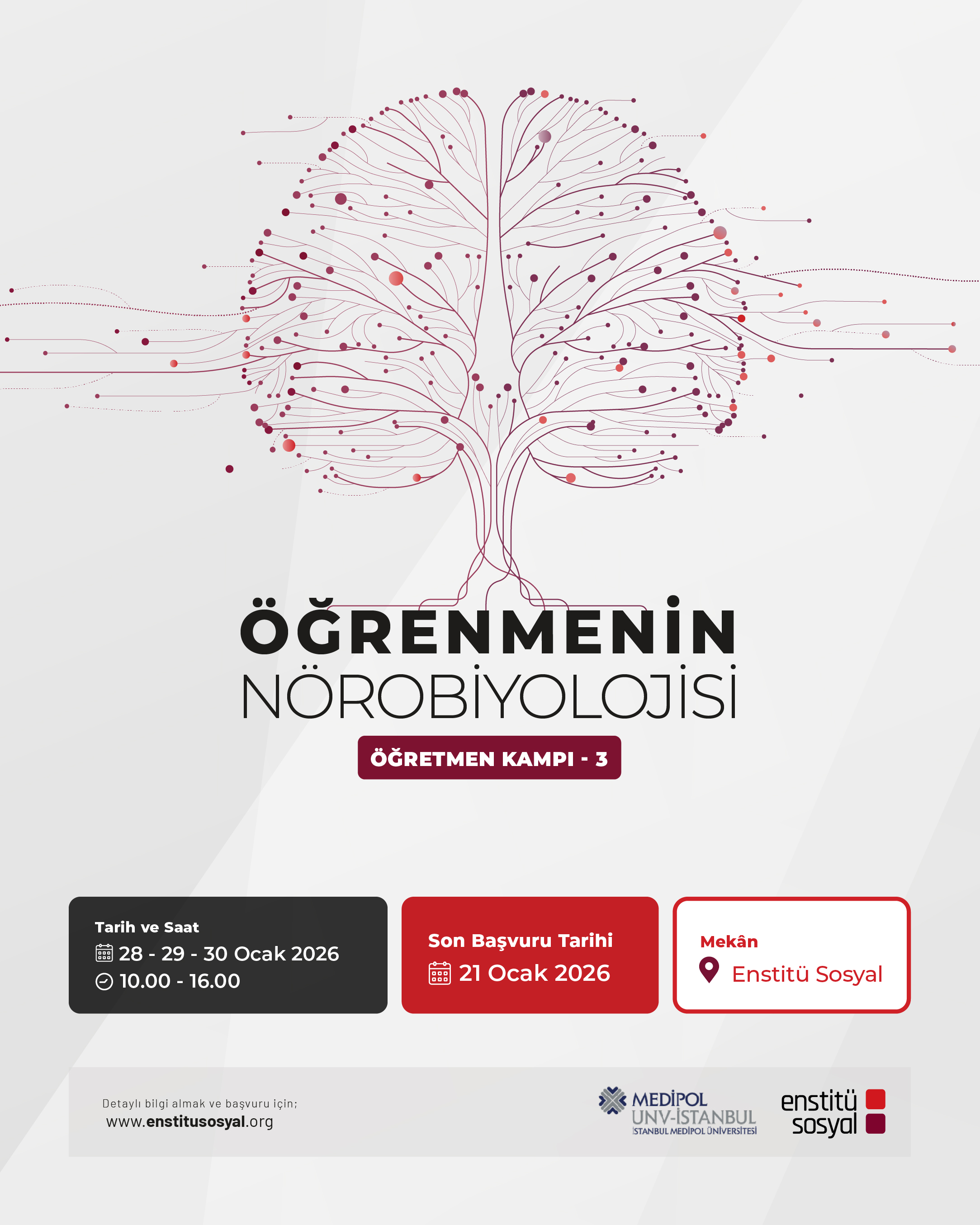 Öğrenmenin Nörobiyolojisi Öğretmen Kampı’nın Üçüncü Dönemi Başlıyor!