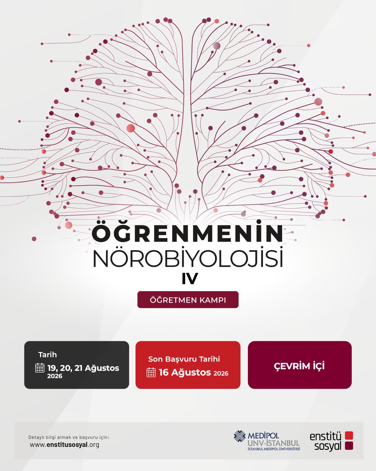 Öğrenmenin Nörobiyolojisi Öğretmen Kampı Başlıyor!